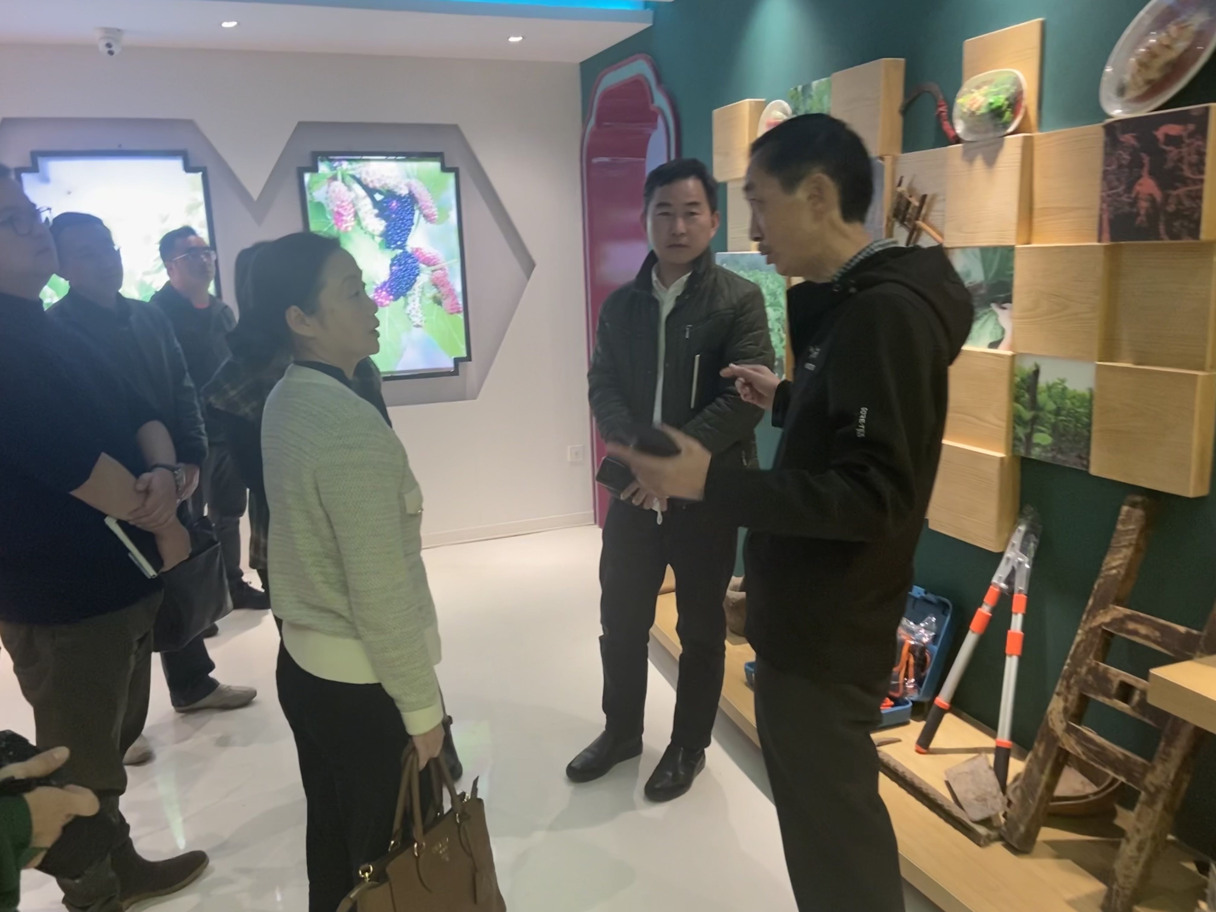 �Ĵ���ҵ���Ÿ������������