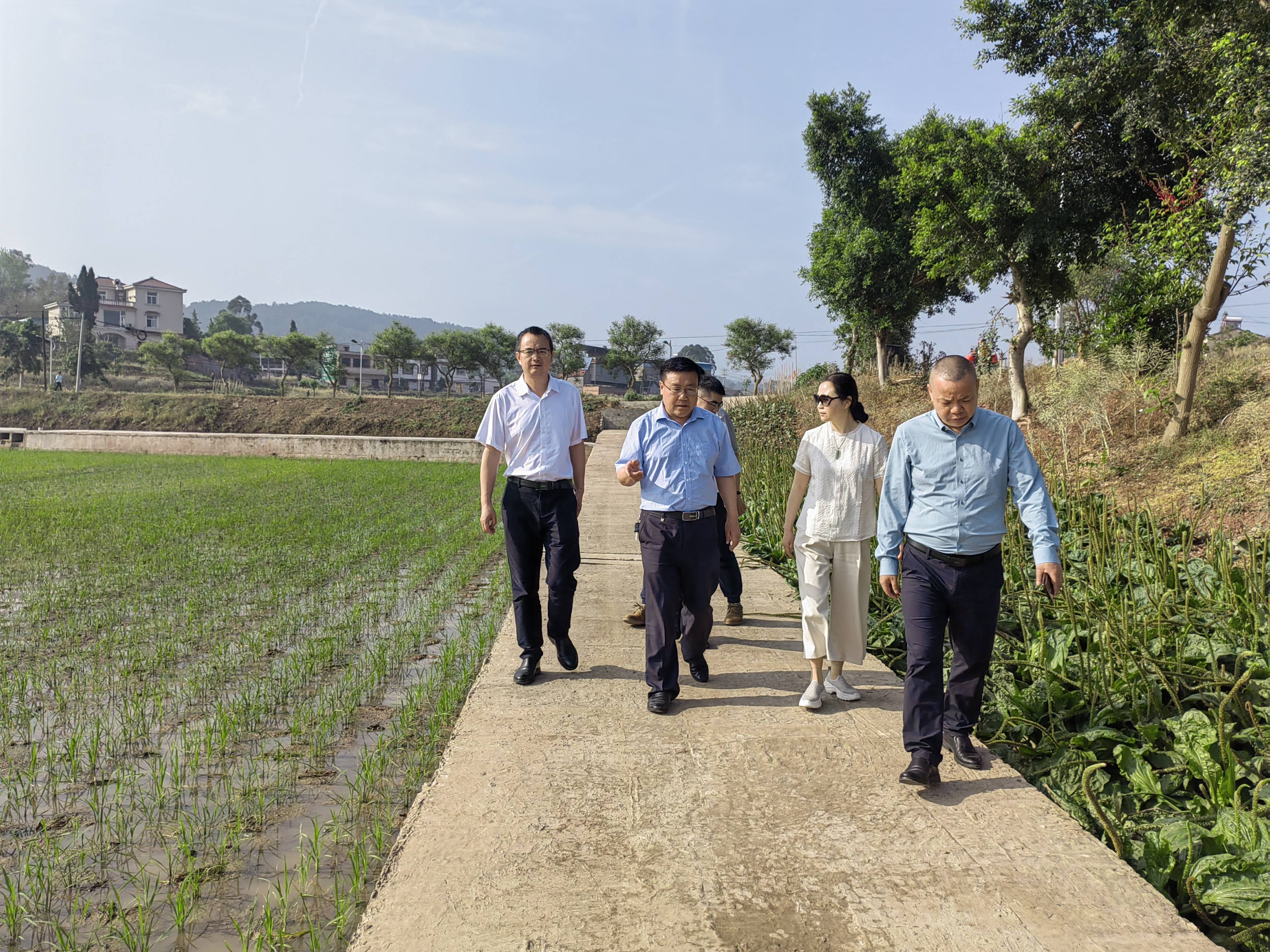 6441518cbe351.jpg 333(1).jpg