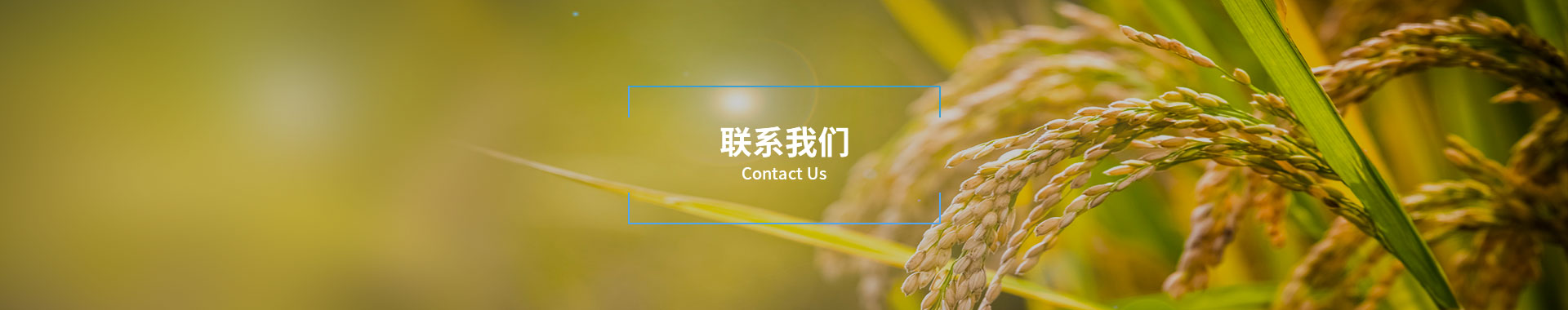 ��ϵbg����ƽ̨