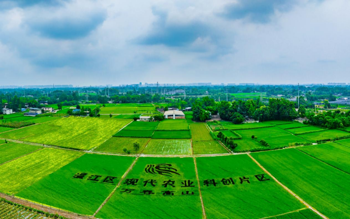 6444a4c7cb17a.png image.png