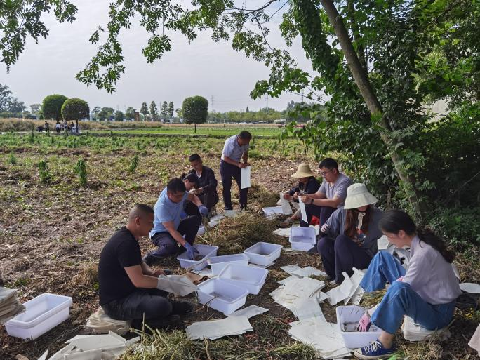 64584f066922e.png ¸îÓͲË3.png