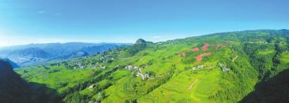 �㽭�����򹤳̡������������Ĵ�����ѧʲô��������������