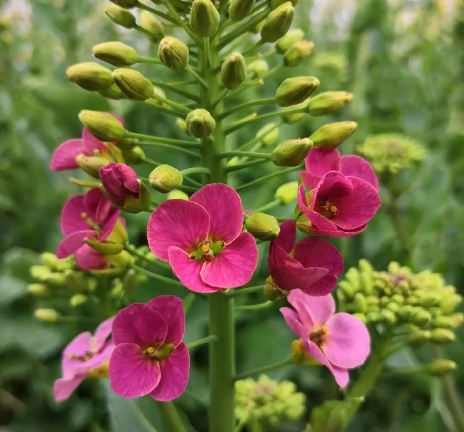 64f18a21cff30.jpg 1.jpg