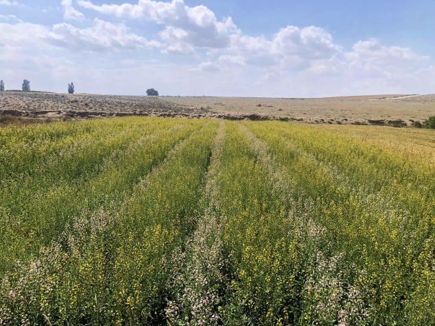 64f18a8adeee1.jpg 2.jpg