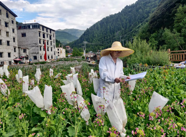 64f18aba878f0.jpg 3.jpg