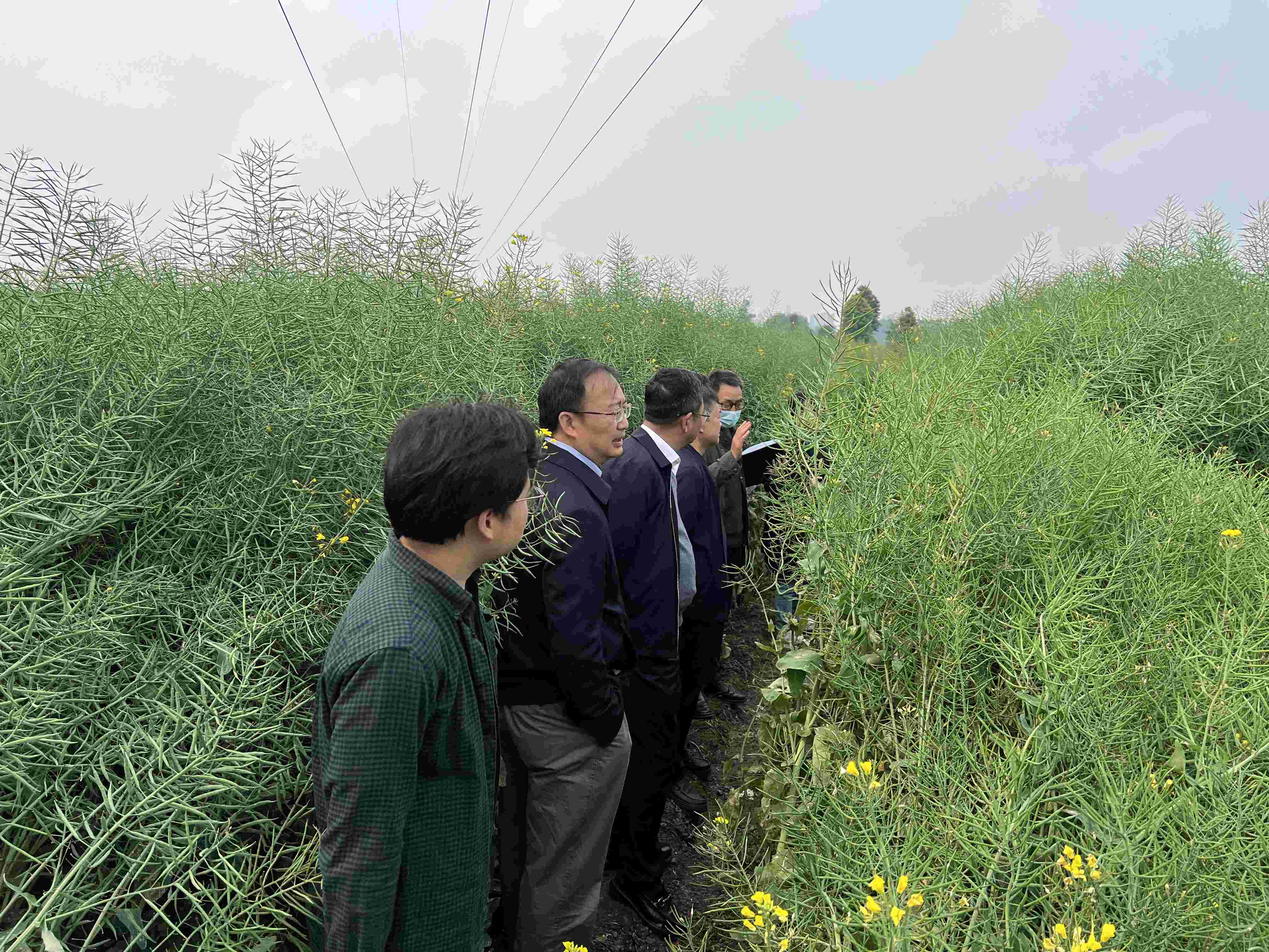 64f828fdefcc4.jpg 徐斌到科创中心(1).jpg