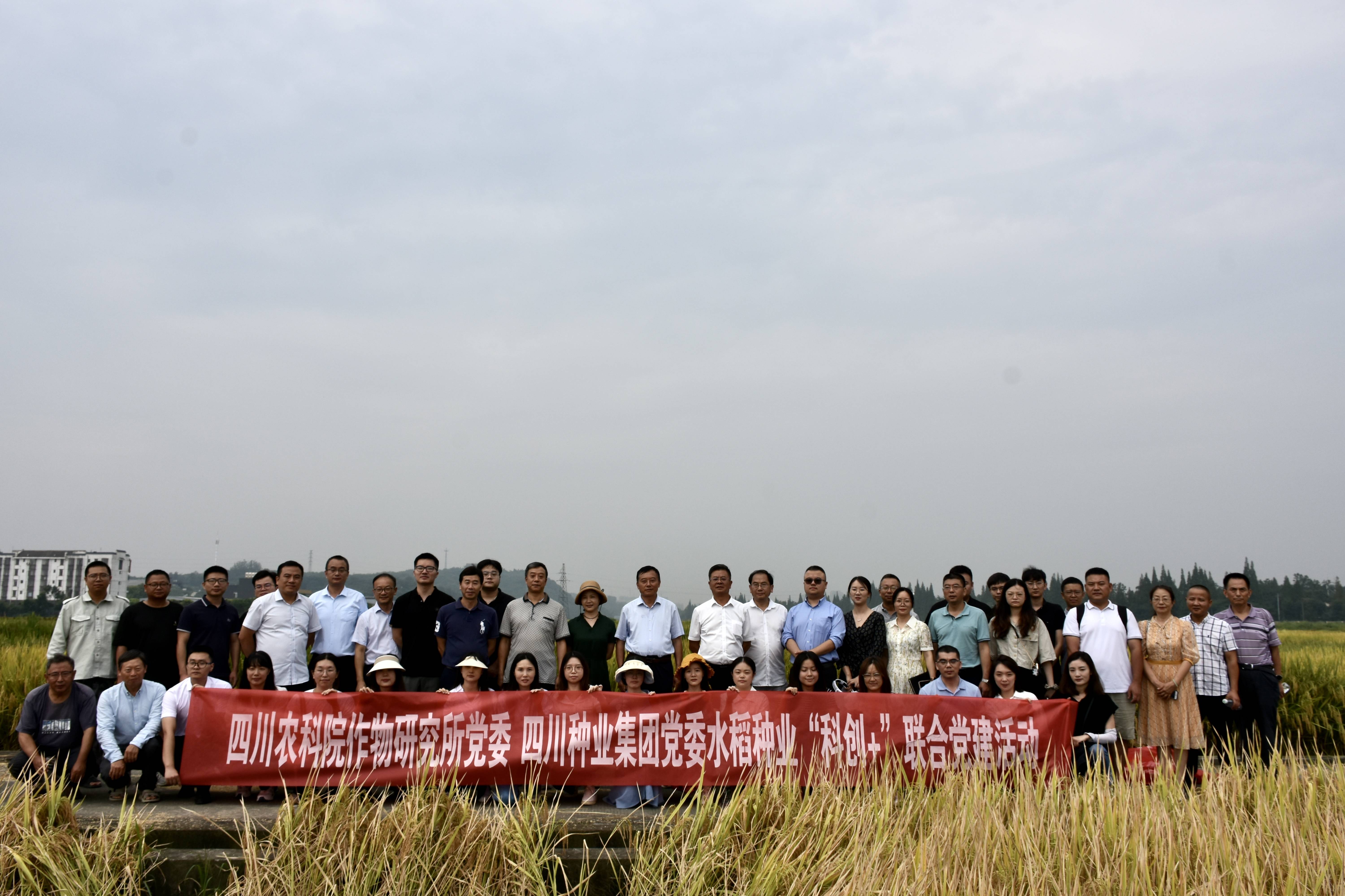 bg����ƽ̨ ʡũ��Ժ�����о��� �ŽῪչˮ����ҵ���ƴ�+�������˶�