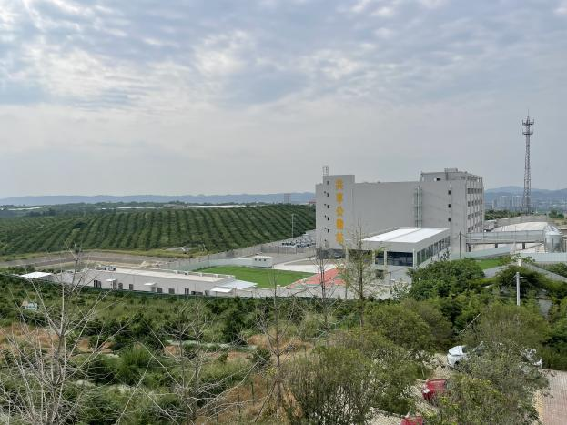 64febdf39a03a.png ËÄ´¨´¨·±ÖíÉúÎï¿Æ¼¼ÓÐÏÞ¹«Ë¾¿ªÕ¹ÉúÖíÍŽáÓýÖÖ½»Á÷»á2.png