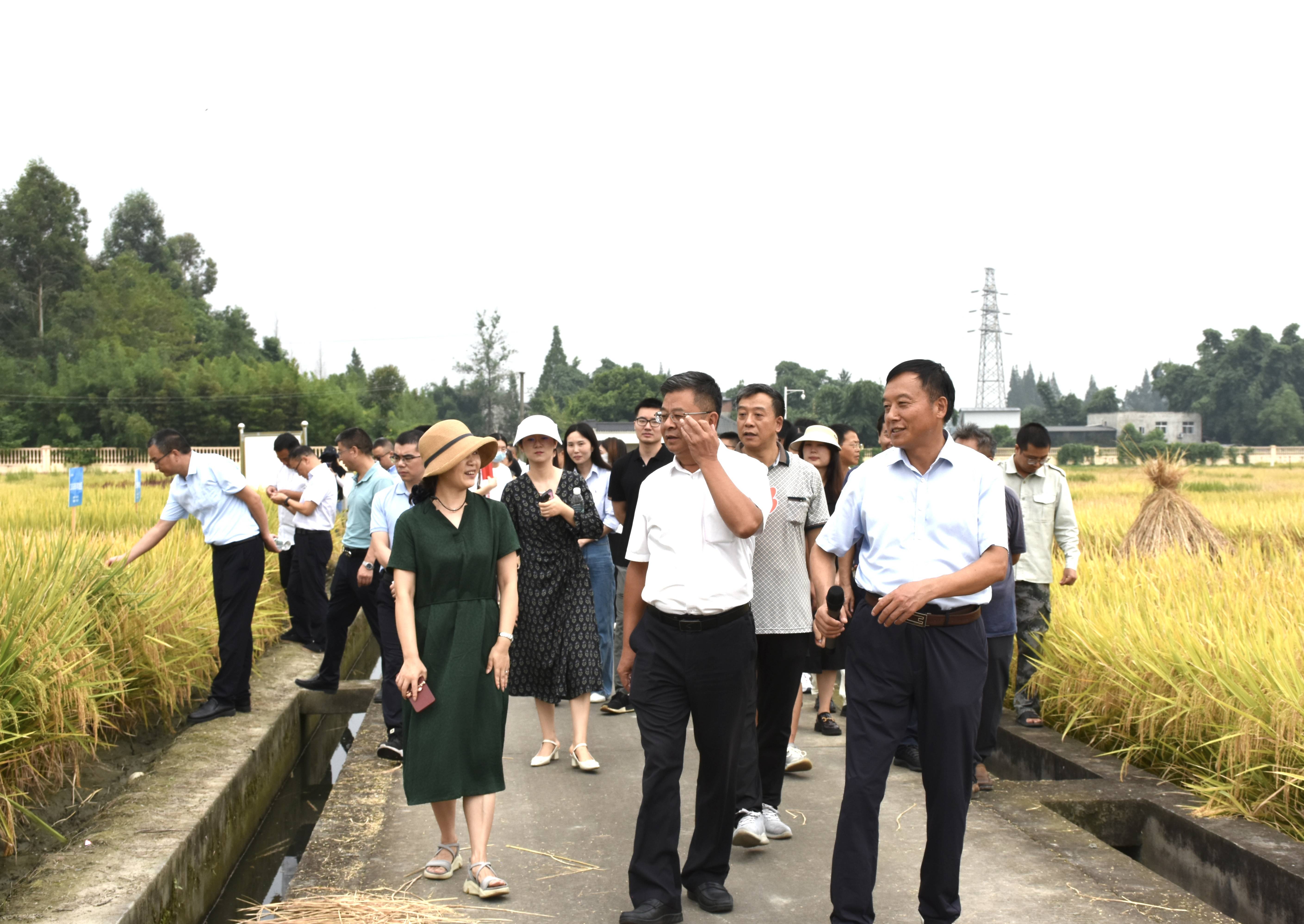 2023��9��6��bg����ƽ̨ ʡũ��Ժ�����о����ŽῪչˮ����ҵ���ƴ�+�������˶�1�����Ȼ���㣩(1).jpg