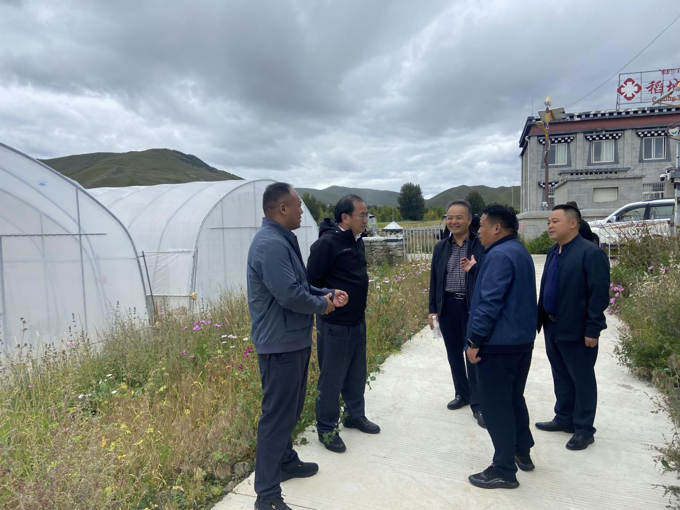 6503f828ca332.png bg´óÓÎÆ½Ì¨¸°µ¾³ÇÏØ¿¼²ìµ÷ÑÐ.png