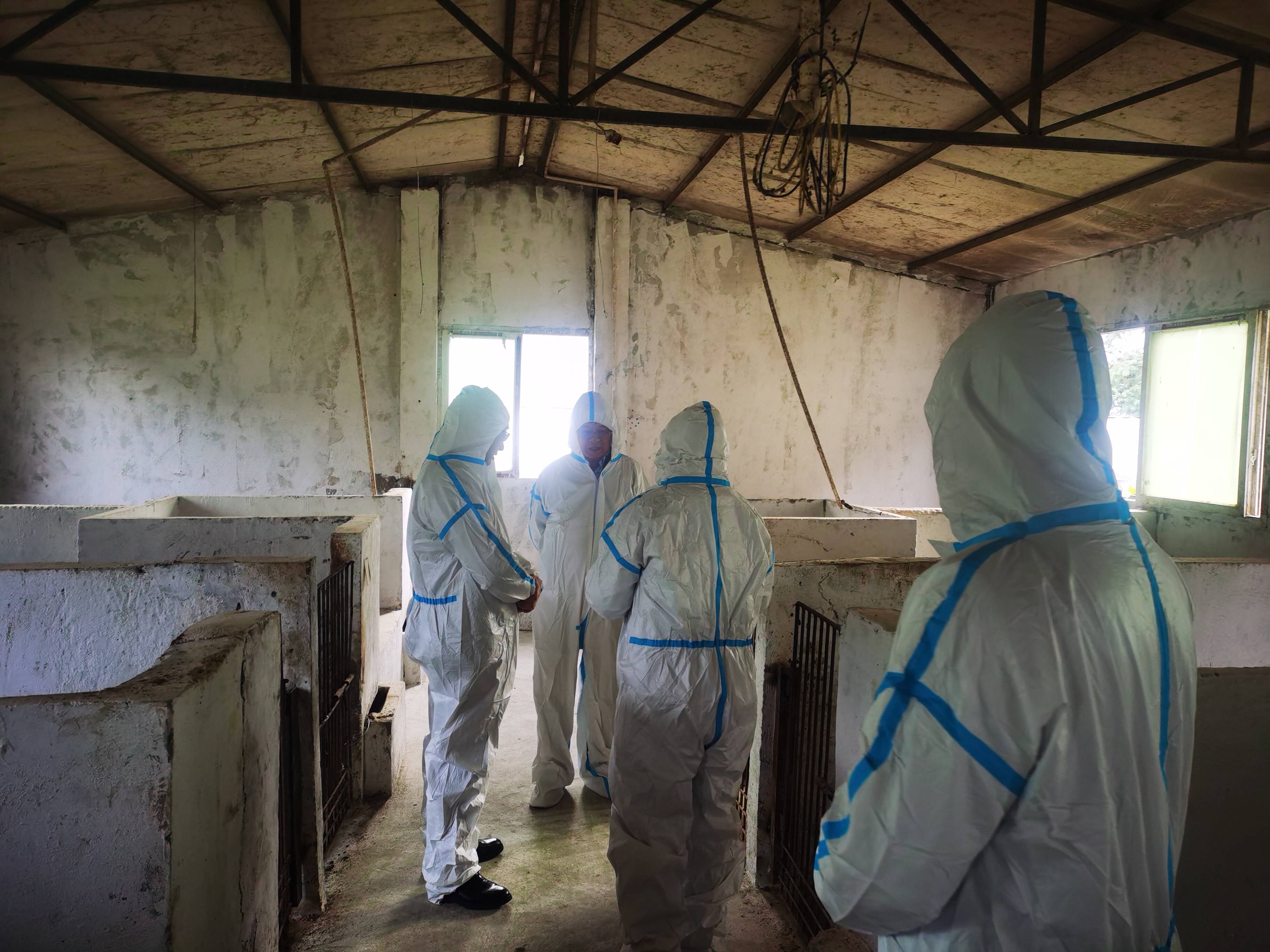 �׷ɸ��򶨵��в�������ҵ