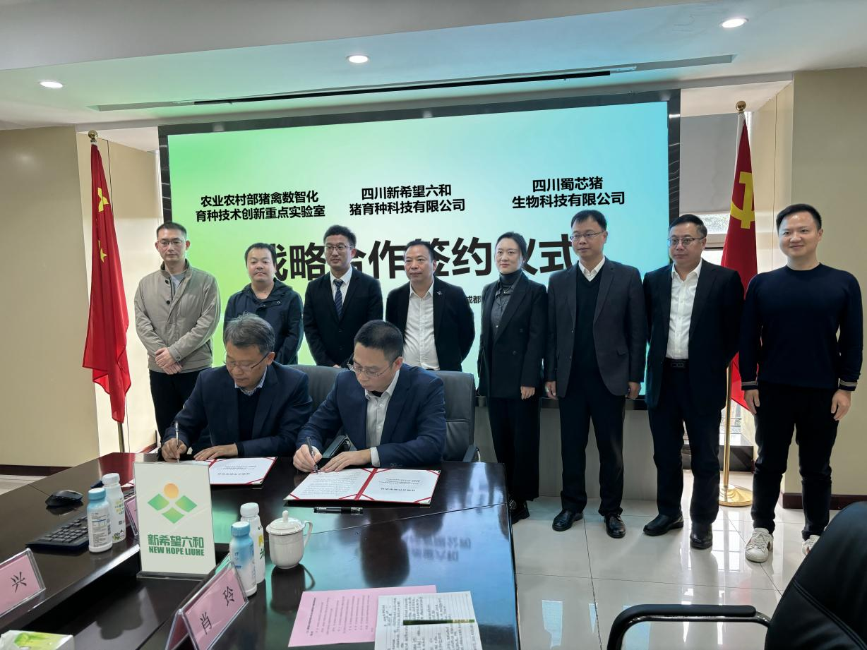 656945a30a0ed.png 蜀芯猪公司与新希望六和猪育种科技有限公司签署战略相助协议.png