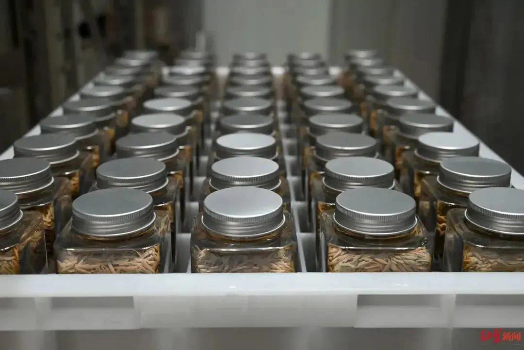 ũ����������Դ��������