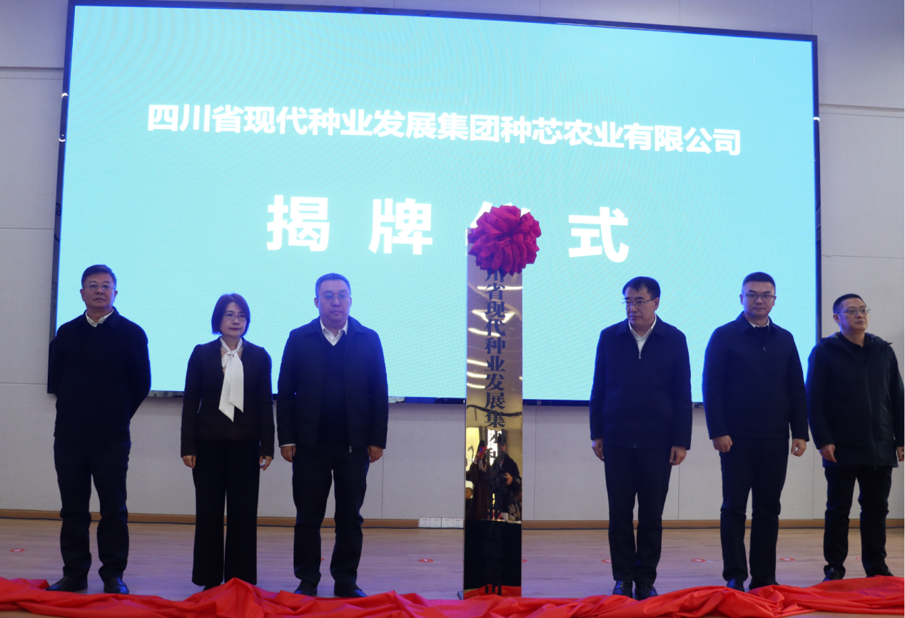 �������� bg����ƽ̨���Թ���̲��Я�ִ����Ϸ�������������