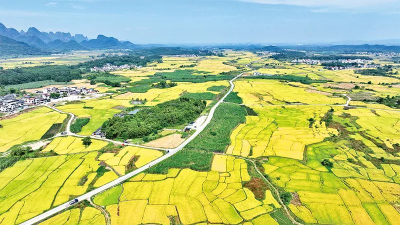 ���������ƽ�������ȫ����