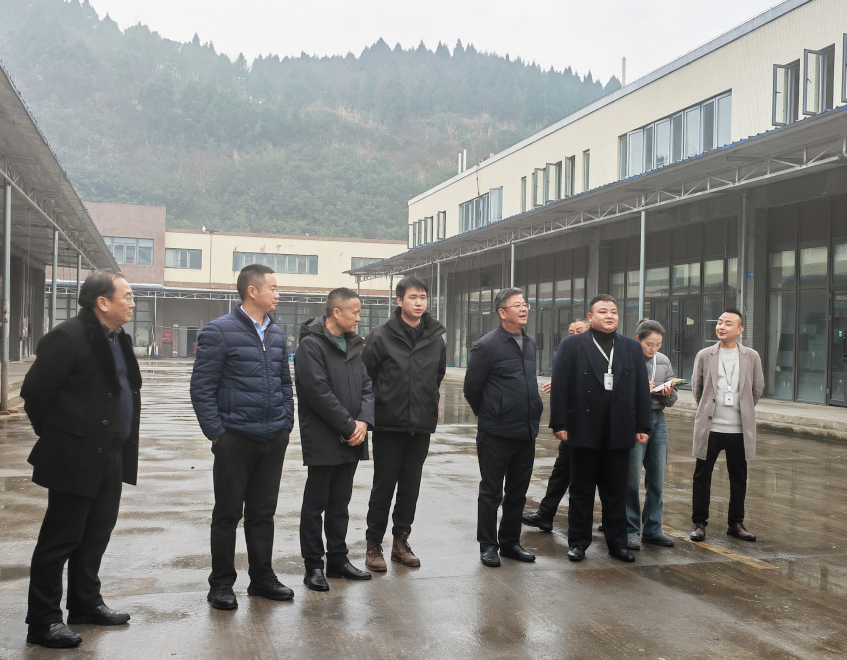 �׷ɡ������´��ӵ��ϳ�Ƭ������ָ������