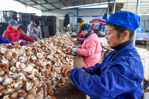 65c2e863cba7e.png 人民日报社论:打好墟落周全振兴漂亮仗1.png