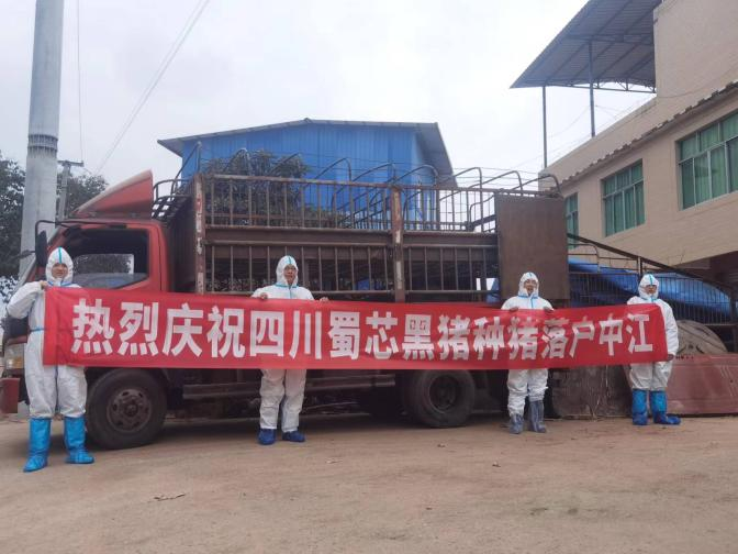 ����о�������������仧�н�