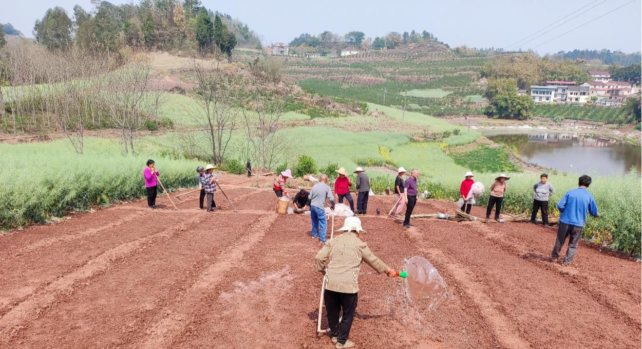 ��оũҵ˳������ӽ�ˮ��������ģ���غ�����