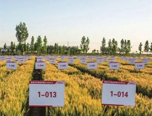 �������10��һ��������ҵ���ˣ�������������������˭����ǰ������������3.jpg