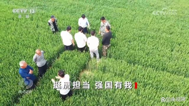 �����̸��ͦ�߼��� ǿ������