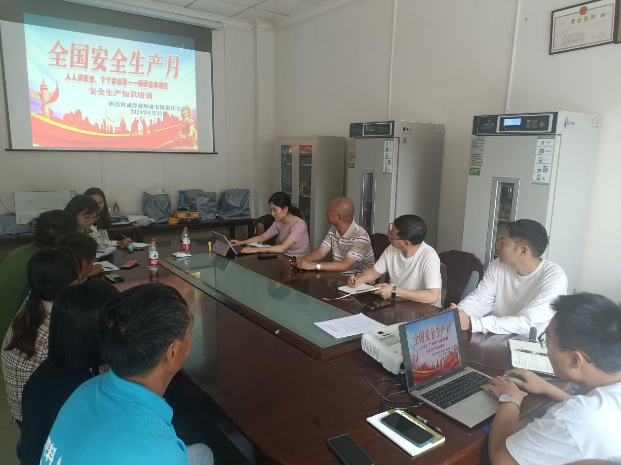 ������й�˾��չ�徲����ר����ѵ��