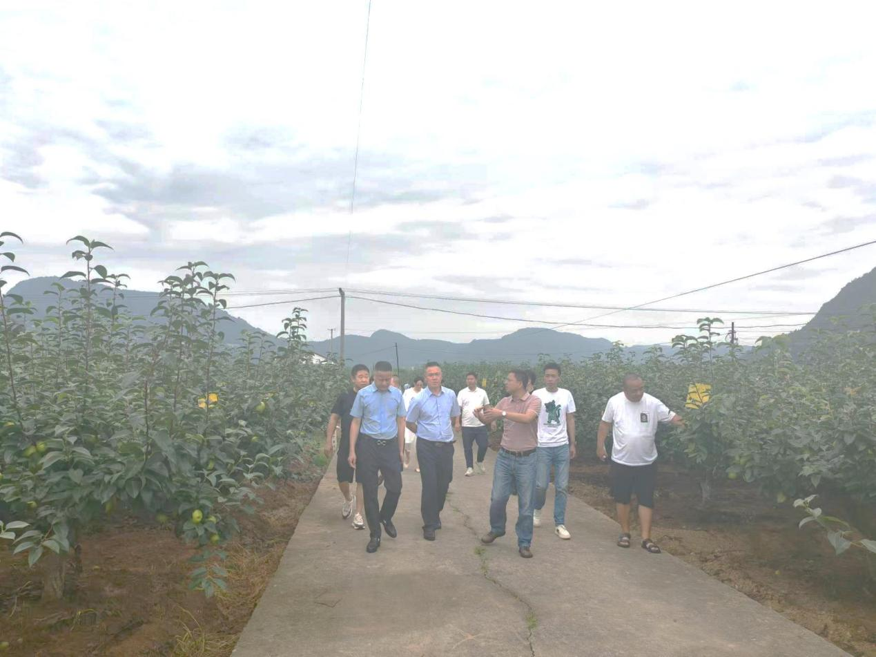 667cdce0d5bdc.png 南充川北公司到苍溪县开展托底性帮扶事情.png