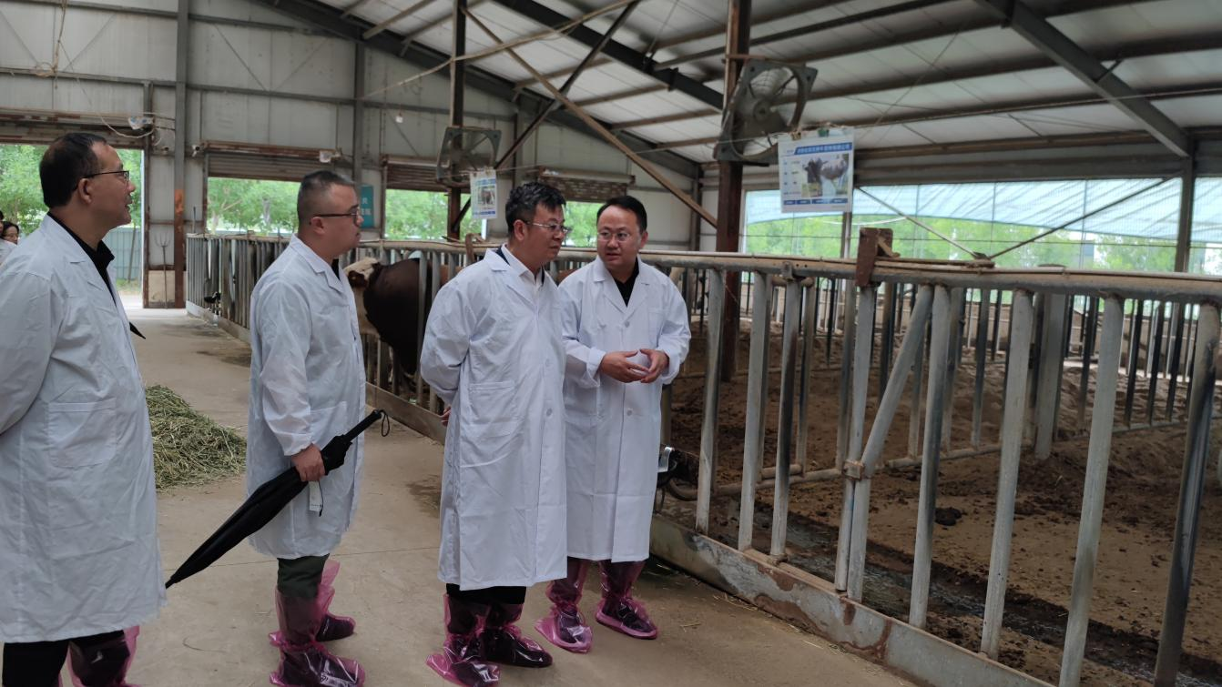 66863692c06f4.png 2024Äê7ÔÂ2ÈÕbg´óÓÎÆ½Ì¨¸°ºÓÄÏÖÖÒµ¼¯Íŵ÷ÑÐ×ù̸1£¨Ê·Ö¼ÒñÅÄÉ㣩.png