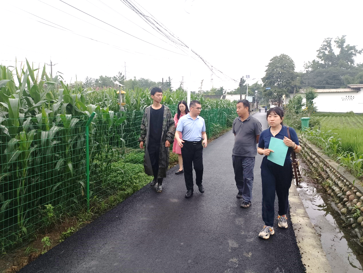 66986b6d5421b.png 科创中心迎接省农业农村厅玉米生物育种试验基地专项检查.png