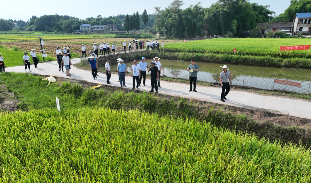 66b83cdf815d9.png ¡°¿´ºÌÑ¡ÖÖ¡± ÍÆÓÅÊÆµ±¼ÒÆ·ÖÖ Öú¡°Ì츮Á¸²Ö¡±²úºÃÁ¸2.png