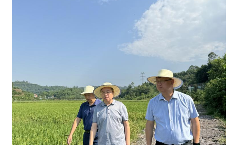 ��С�ĵ��㰲�е���ũ��Ч������