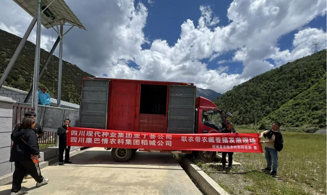 ������Դ��ũ��ũ �����ҵ��Ч����