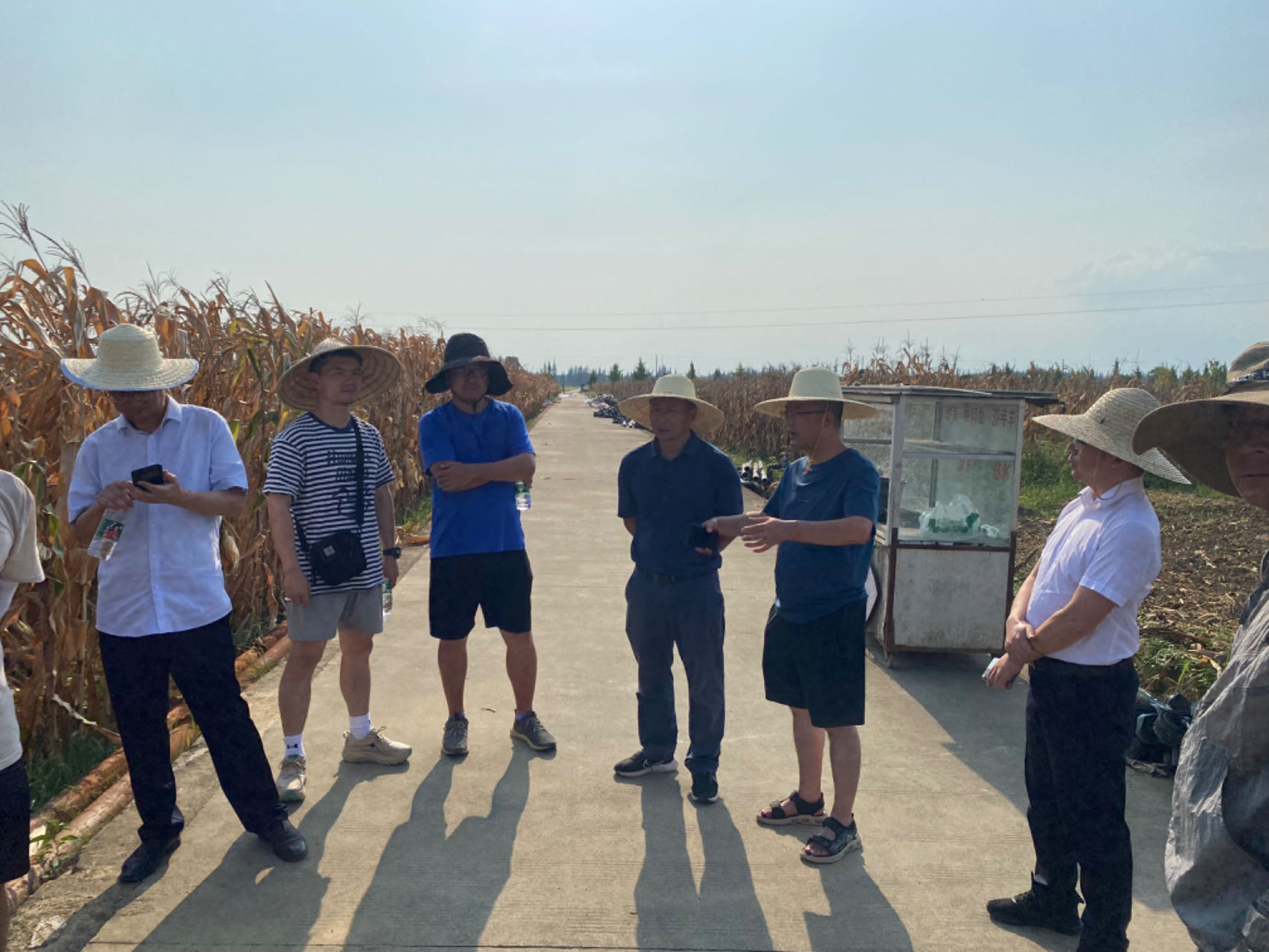 66d075eb7cff5.png ¿Æ´´ÖÐÐÄ¿ªÕ¹ÓñÃ×ÐÂÆ·ÖÖ£¨×éºÏ£©²âÊÔÆÀ¼ÛÔ˶¯.png