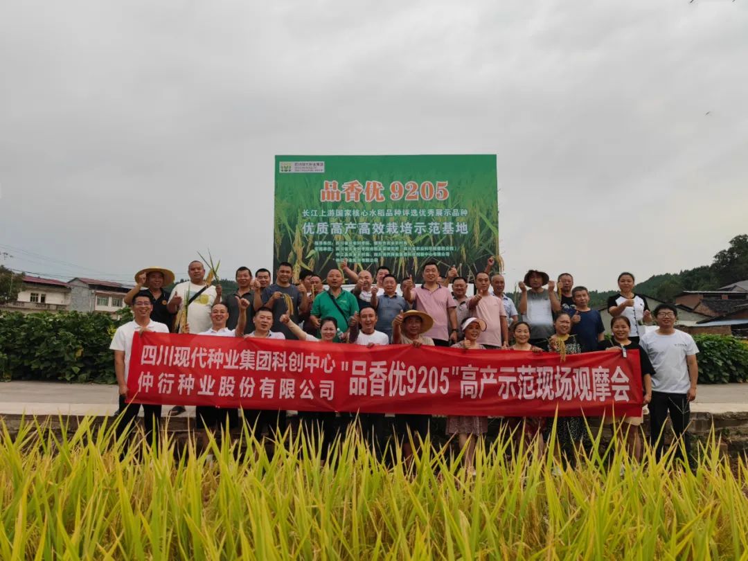 ƽ��Ķ��797.7�������ˮ��Ʒ�֡�Ʒ����9205���߲���ģ��ʵ�ղ��