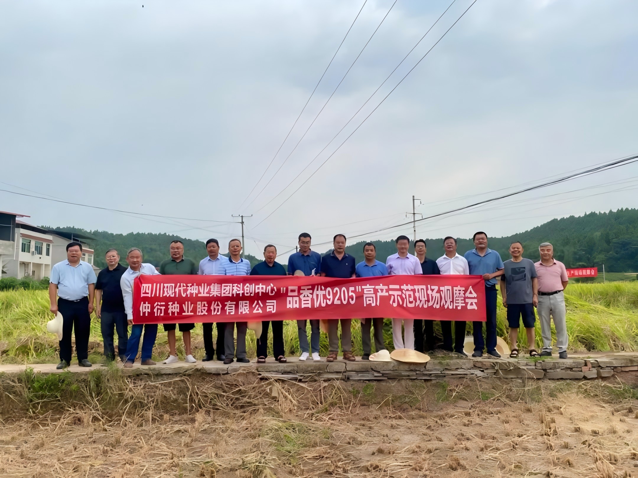 66d1f1ab38752.jpg ƽ¾ùͲú797.7¹«½ï£¡¼¯ÍÅË®µ¾Æ·ÖÖ¡°Æ·ÏãÓÅ9205¡±¸ß²úÊ÷Ä£·½ÊµÊÕ²â²ú2.jpg