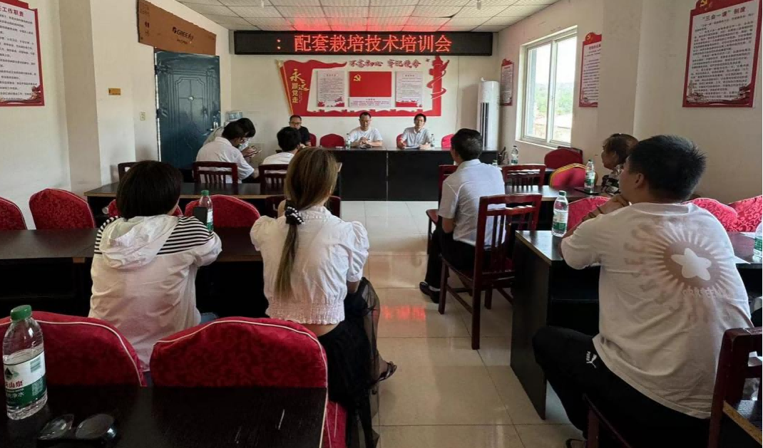 66e949c166671.png 集润公司携手科创中心推进绵阳市三元镇油菜树模基地建设3(1).png