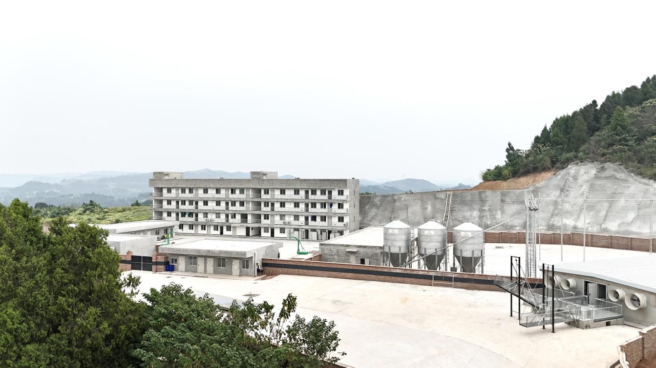 ��о������Ʒ�ֽ������ֳ�����Ͷ��