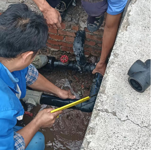 ������أ��������������������г���ʢ2.png