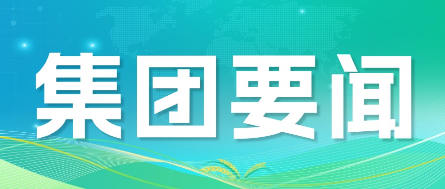 �����´��ӵ���ҵ��˾����