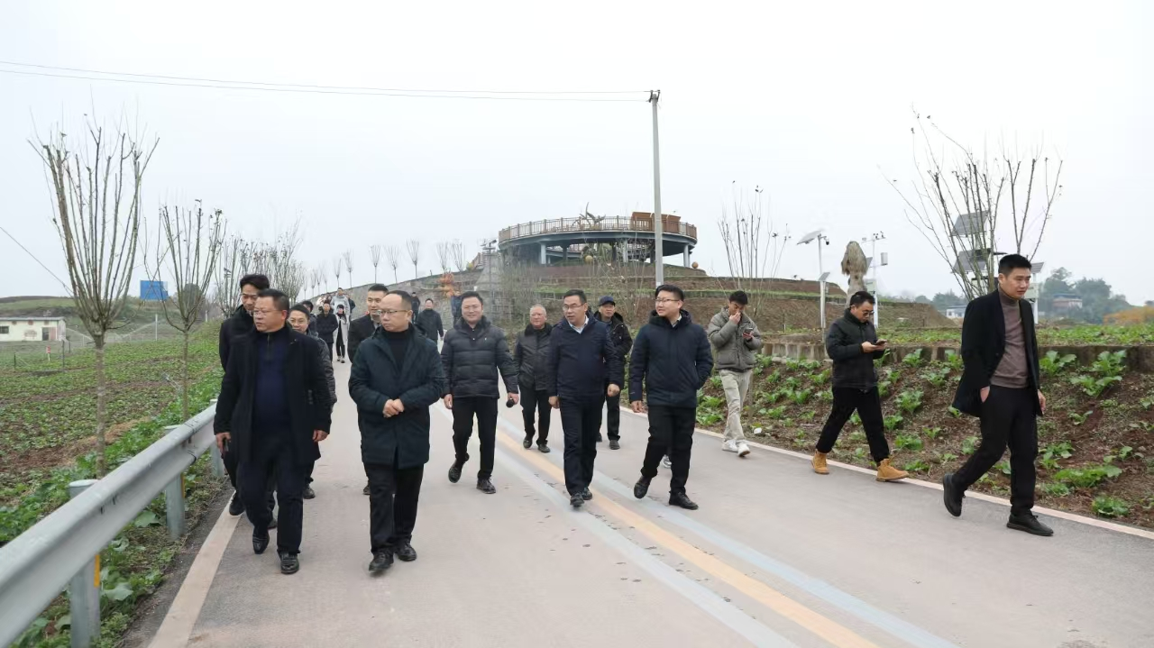 67593c4ca5881.png 自贡市2025年小春粮油生产现场会在种芯农业公司基地召开1.png