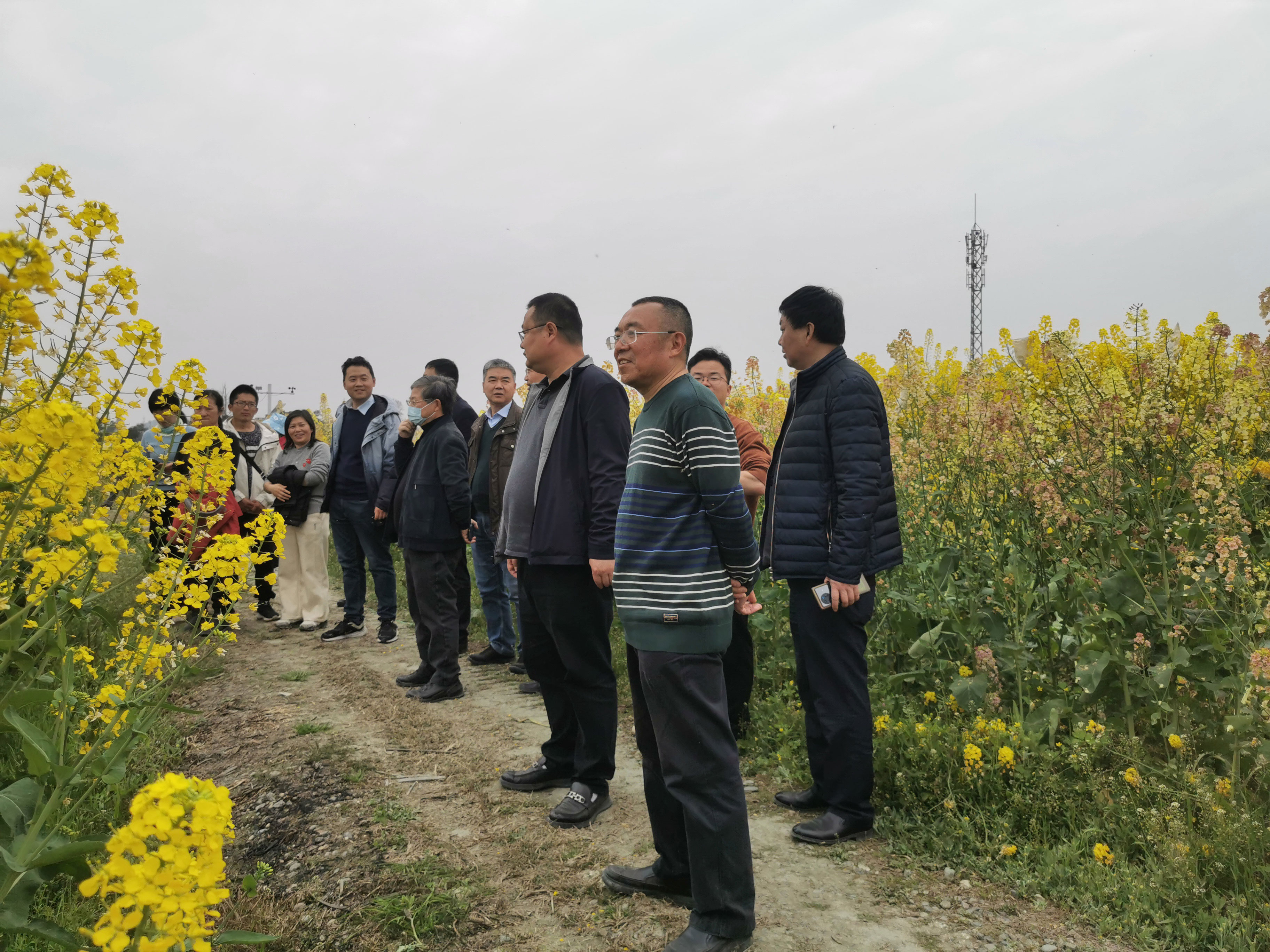 bg����ƽ̨�ƴ�����4���Ͳ�����������ͨ���ж�