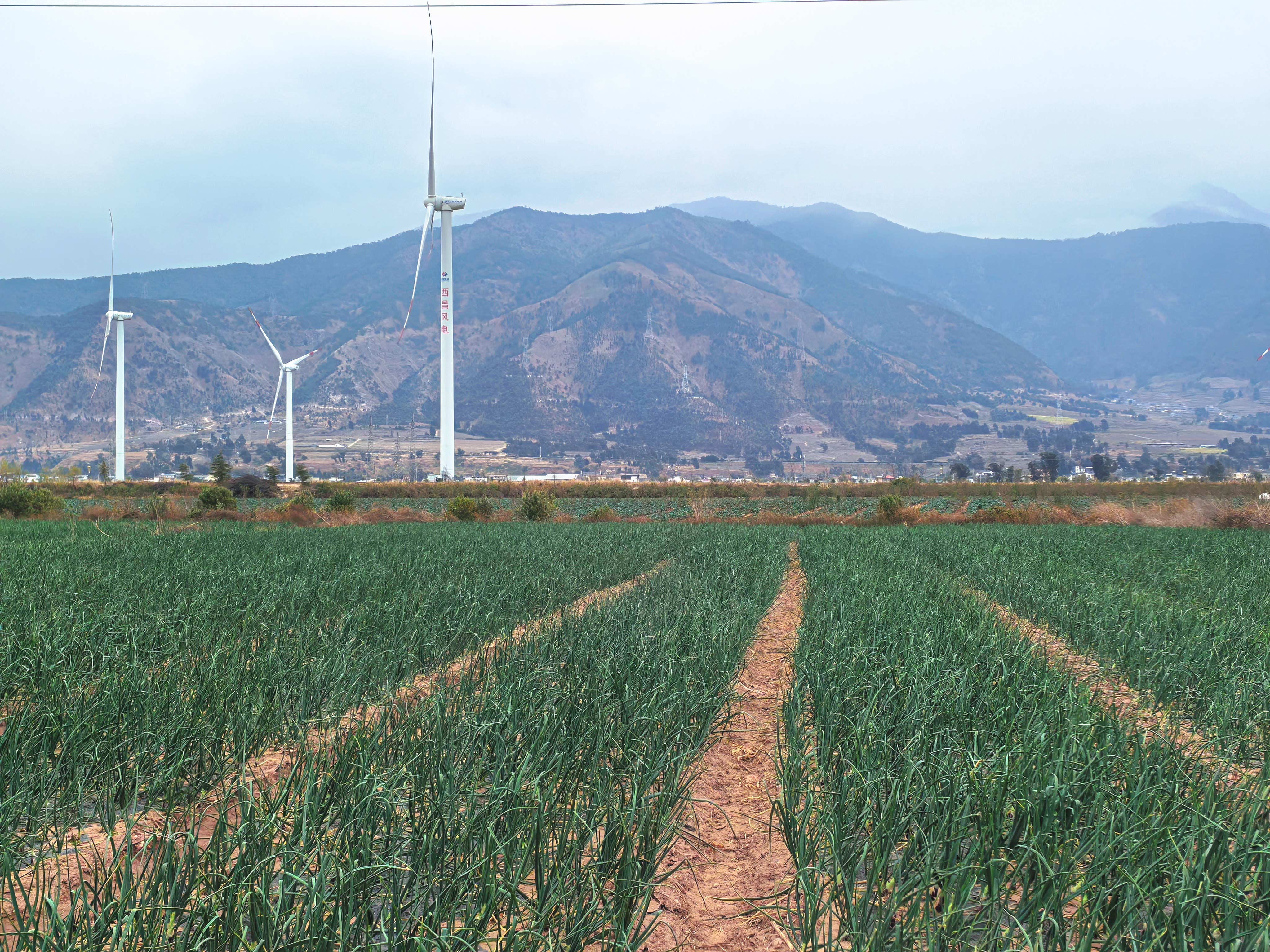 ��Ʒ��ѡ���ٻ�ͻ�ơ������ſ��������ҵ3����Ʒ��ͨ��ʡ���϶�