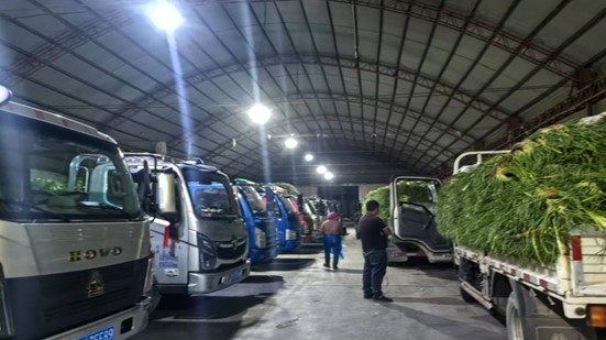 6819dee0bb01c.jpg ͼƬ3.jpg