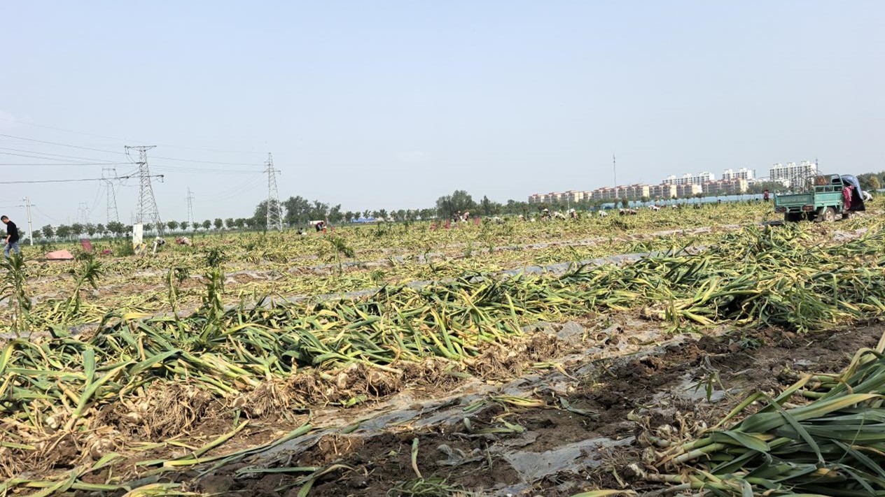 6819def061af3.jpg ͼƬ2.jpg