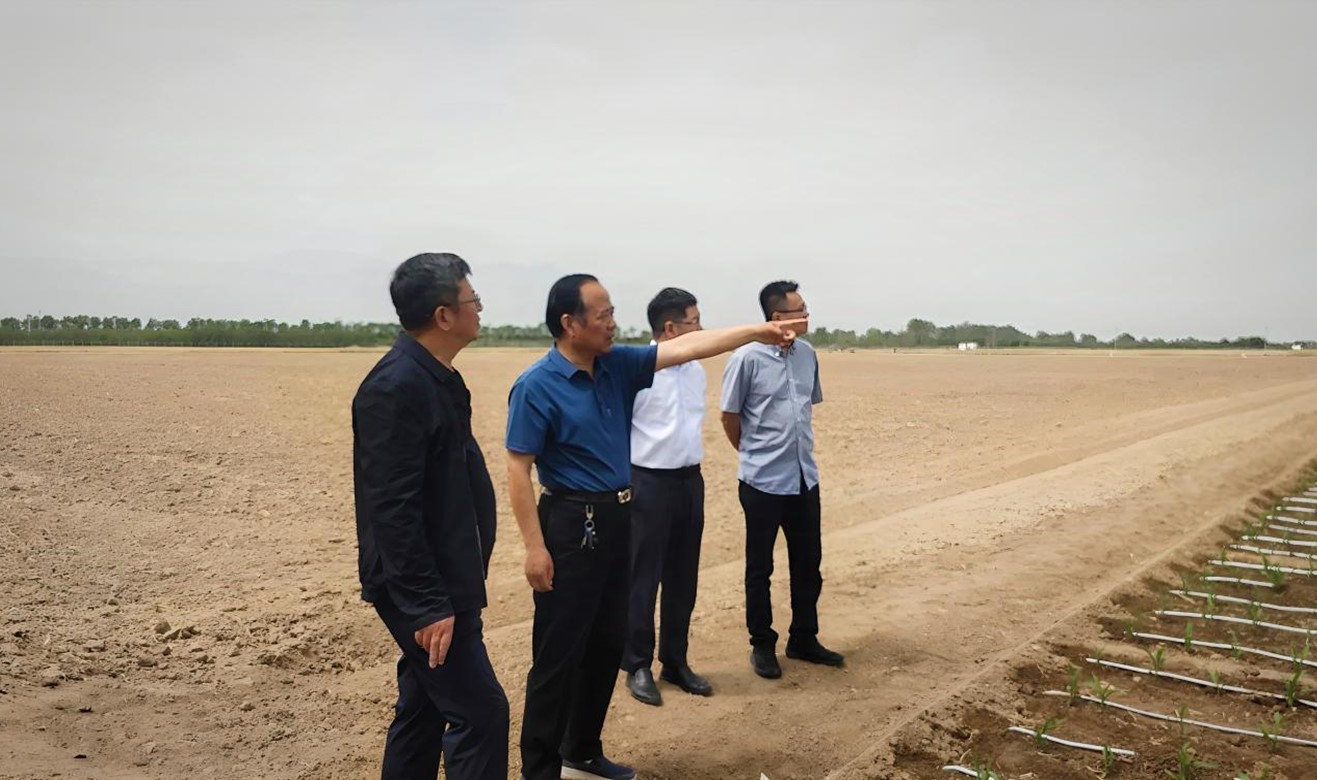 bg����ƽ̨������������ѧϰ����