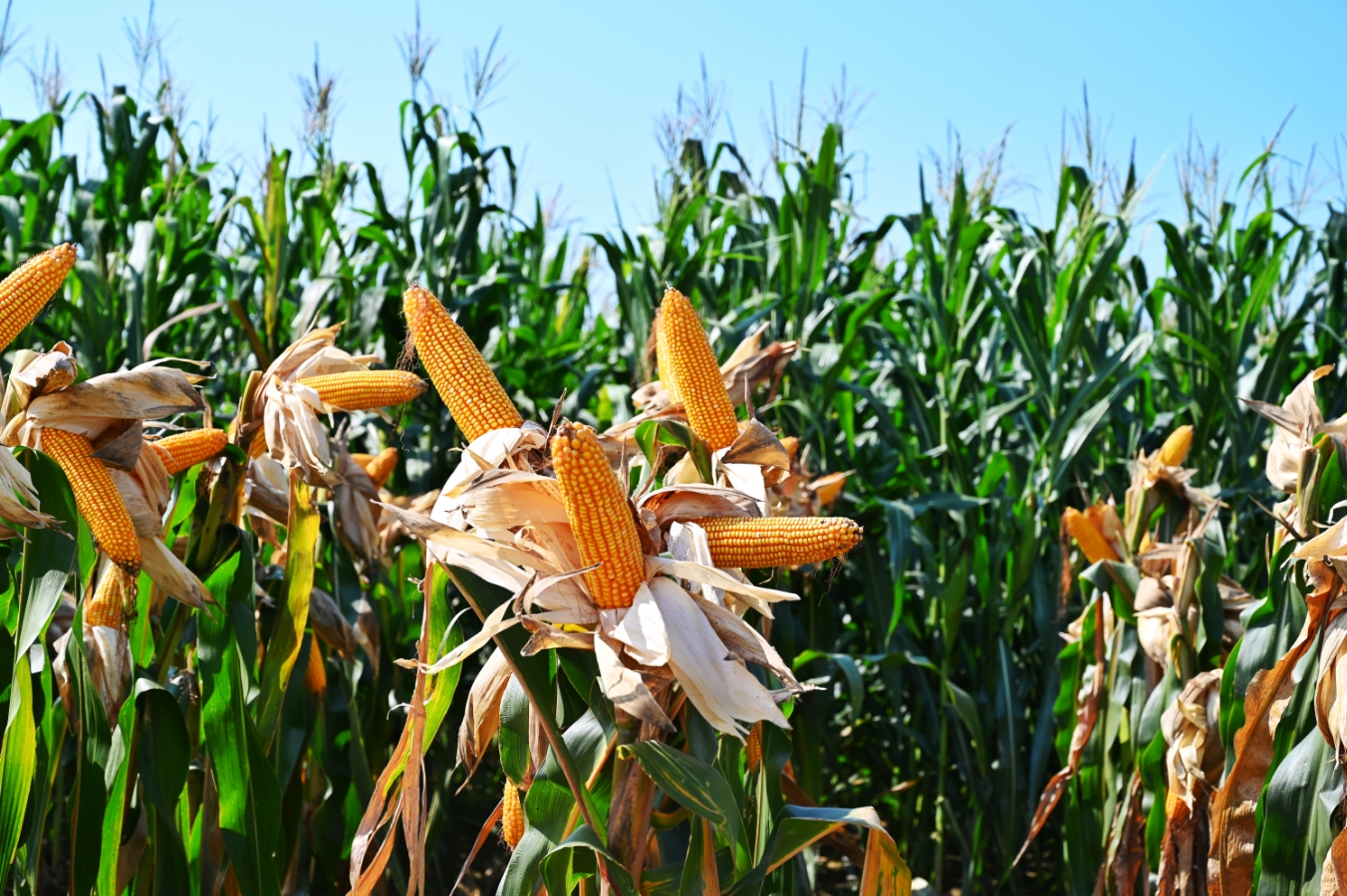 688b02e0029cd.png 7.31现场观摩pic3.png