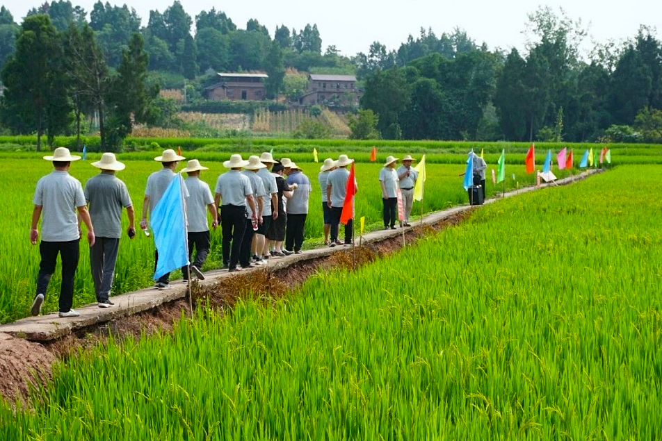 ����ѡ�� | �����ѡ�������ӡ����츮���֡�������