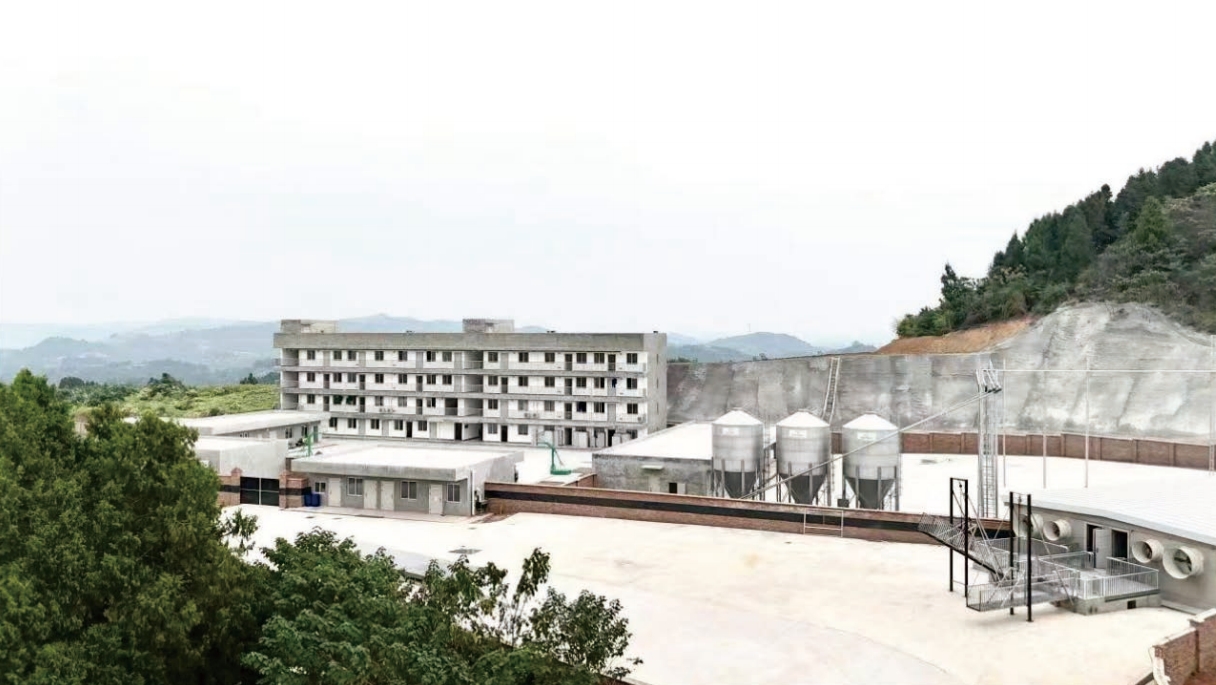 689949820f51c.png 8.11配图蜀芯猪公司先容下2.png