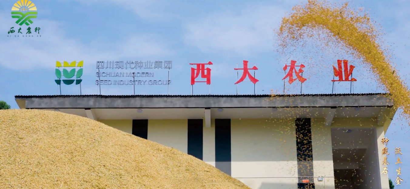 6899645784467.png 8.11西大简介配图1.png