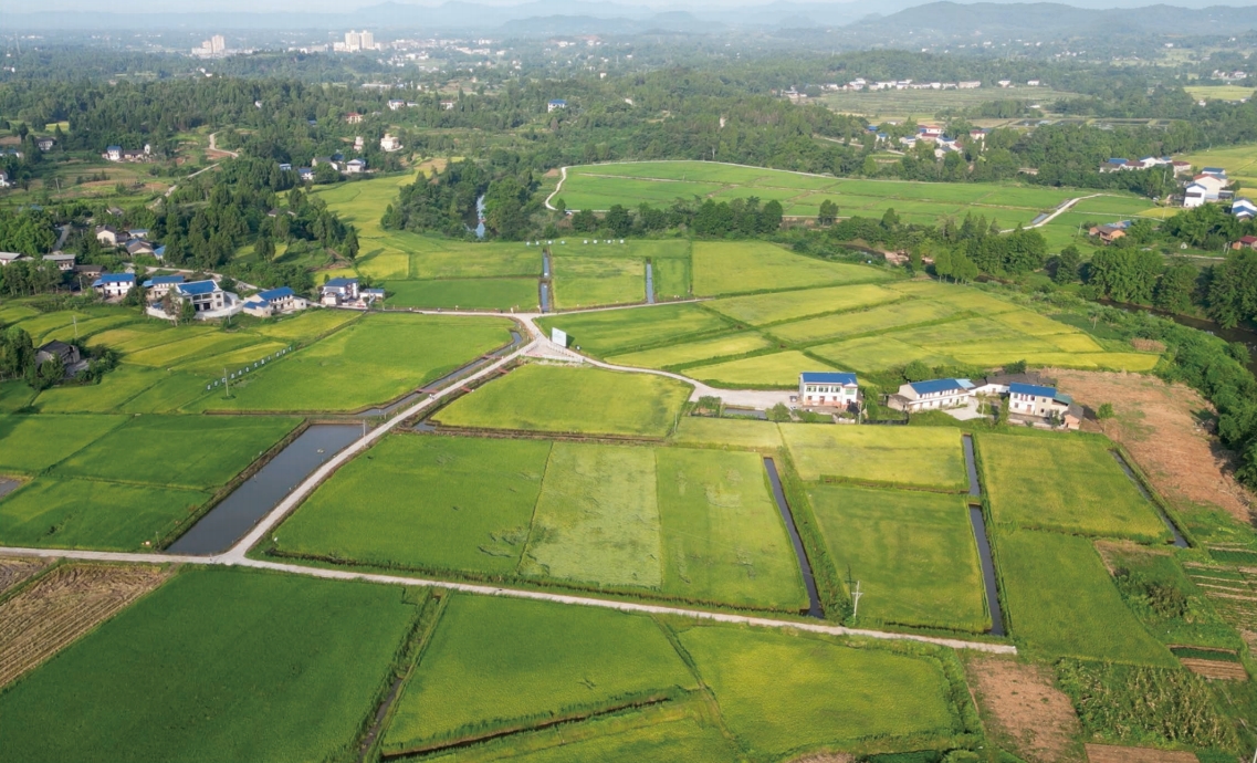 68996659d4d42.png 8.11九兴禾简介配图.png